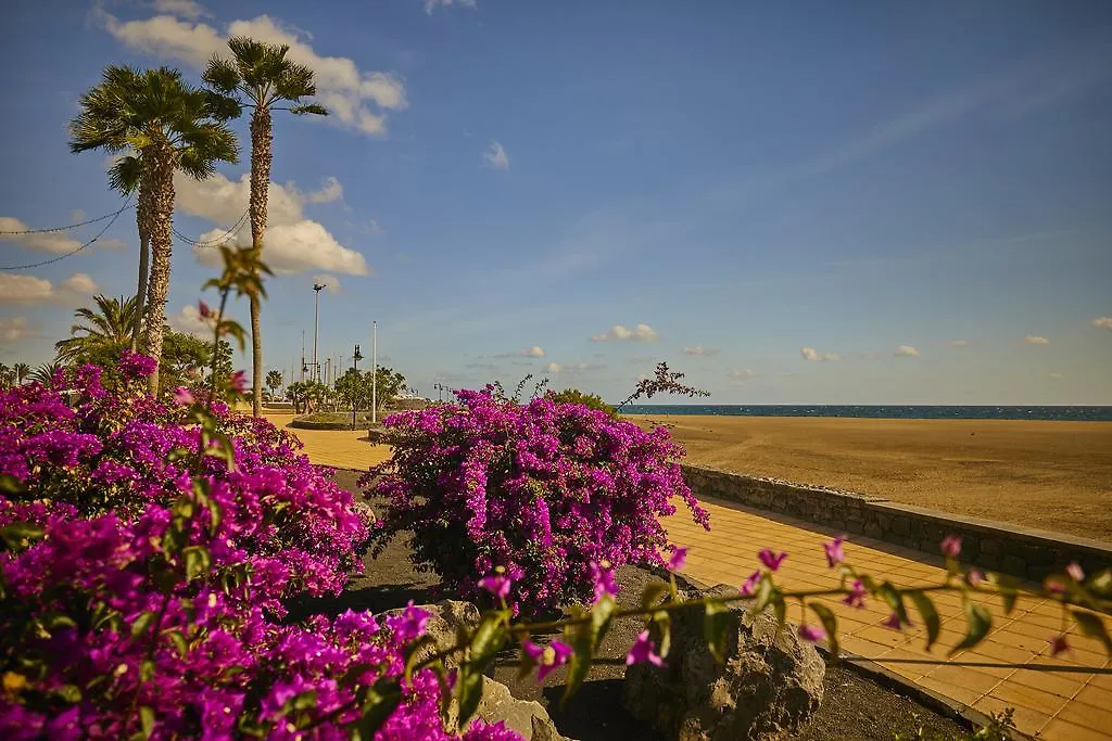 Villa Palmeras Beach Puerto Del Carmen 푸에르토 델 카르멘